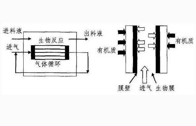 图为生物水处理示意图