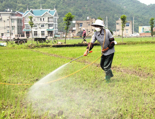 图为除草剂应用场景图