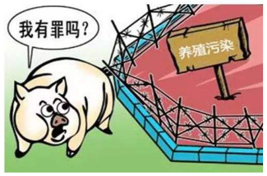 图为养猪场污染环境漫画图